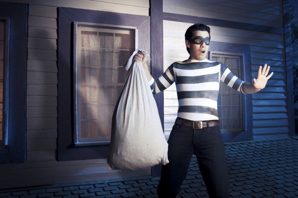 Los tipos de ladrones más comunes